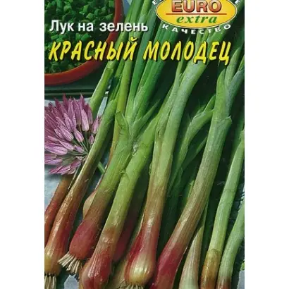 КРАСНЫЙ МОЛОДЕЦ