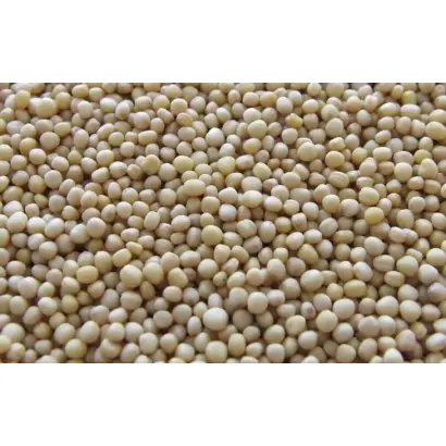 ПРИМОРСКАЯ 13