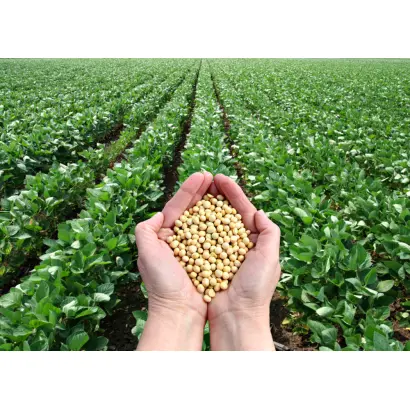 ПРИМОРСКАЯ 301