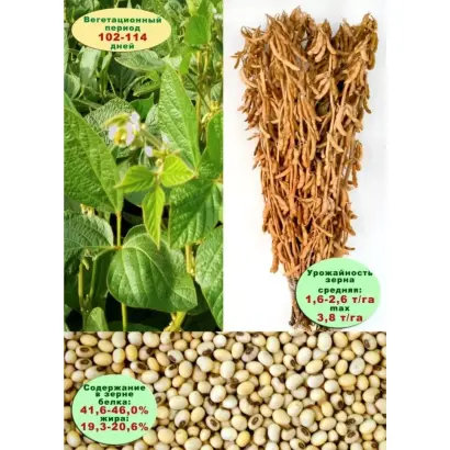 БЕЛГОРОДСКАЯ 8