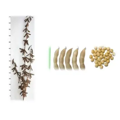 ПРИМОРСКАЯ 96