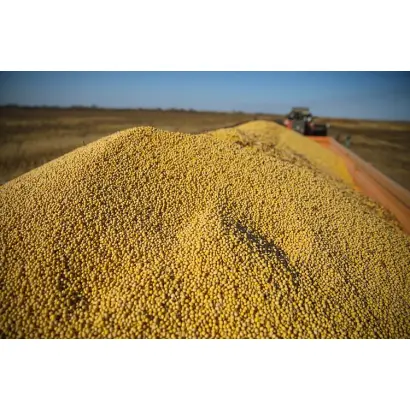 ПРИМОРСКАЯ 81