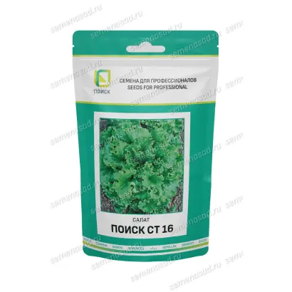 ПОИСК СТ 16