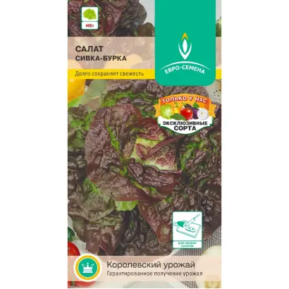 СИВКА-БУРКА