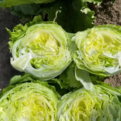 ДЖАСПЕРИНАС