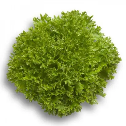 ЭКСПЕРТАЙЗ