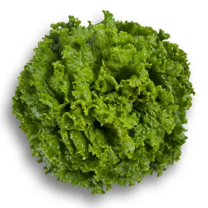 СТАРФАЙТЕР