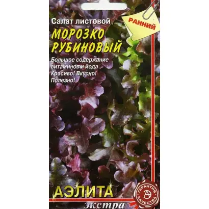 МОРОЗКО РУБИНОВЫЙ