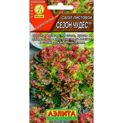 СЕЗОН ЧУДЕС