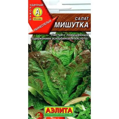 МИШУТКА