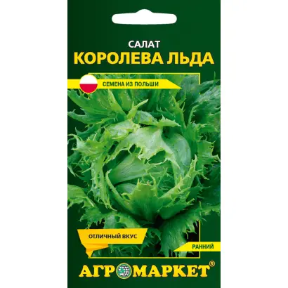 КОРОЛЕВА ЛЬДА