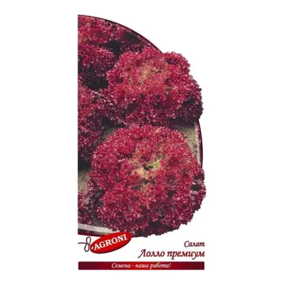 ЛОЛЛО ПРЕМИУМ