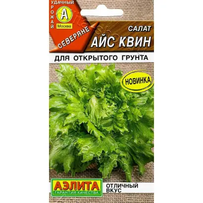 АЙС КВИН