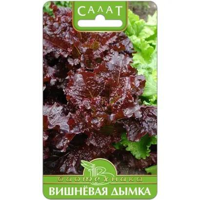 ВИШНЕВАЯ ДЫМКА