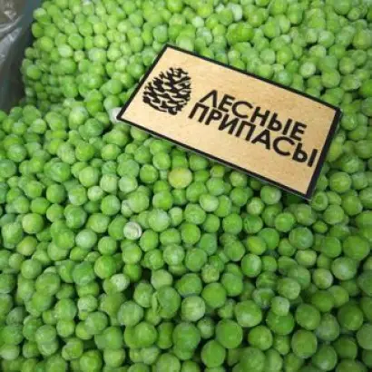 НОВОСИБИРСКАЯ 1