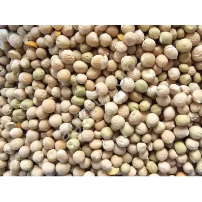 МЕЛКОСЕМЯННЫЙ 2