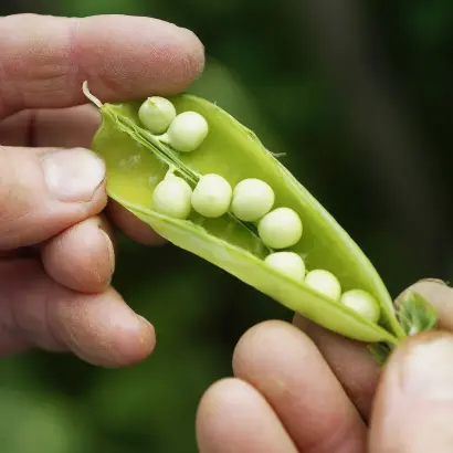 ТУЛУНСКИЙ 202