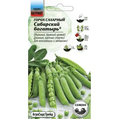 СИБИРСКИЙ БОГАТЫРЬ