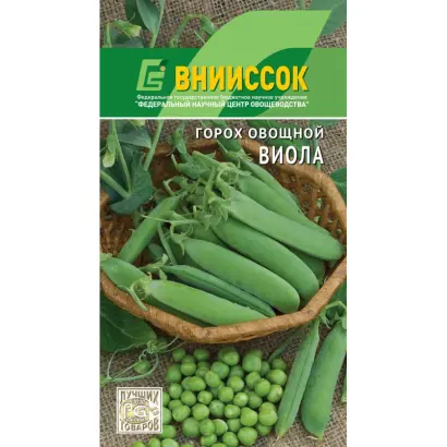 ВИОЛА