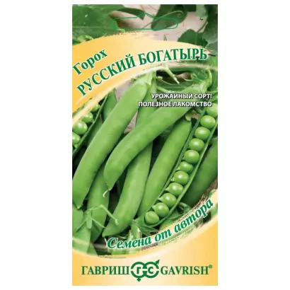 РУССКИЙ БОГАТЫРЬ