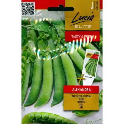 АЛЕКСАНДРА