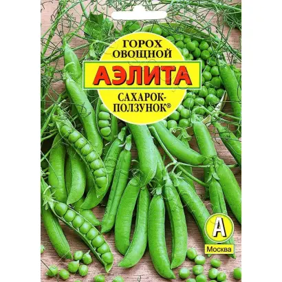 САХАРОК-ПОЛЗУНОК