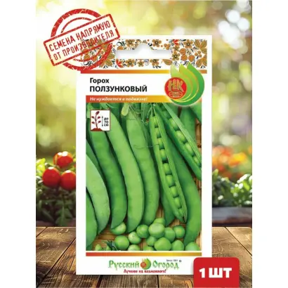 БУРГОМИСТР