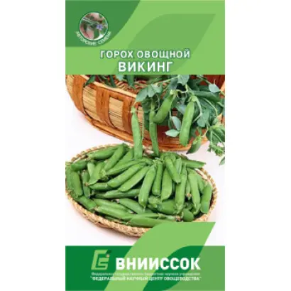 ВИКИНГ