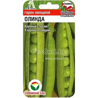 ОЛИНДА