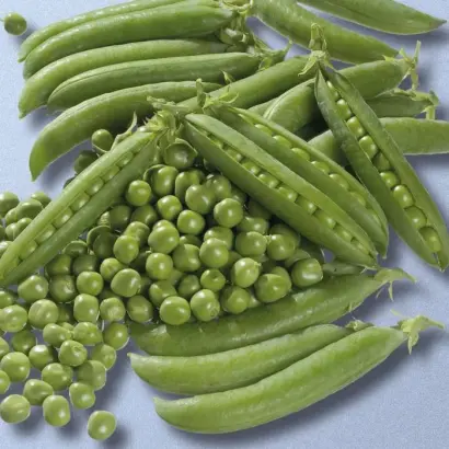 АЛТАЙСКИЙ ИЗУМРУД