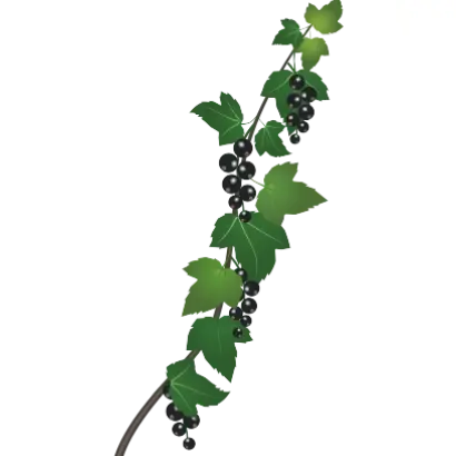 ИСКИТИМСКИЙ ДАР