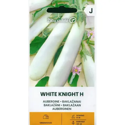 БЕЛЫЙ РЫЦАРЬ