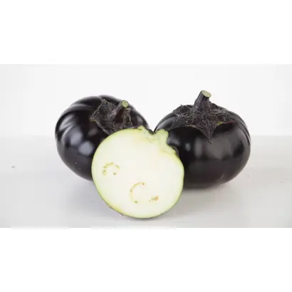 БЛЭК МАДЖЕСТИ