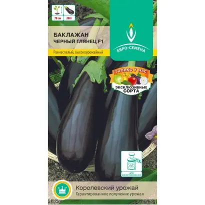 ЧЕРНЫЙ ГЛЯНЕЦ