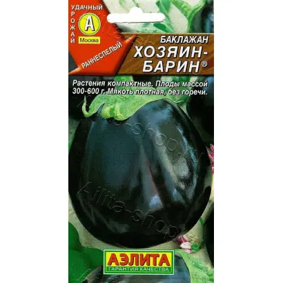 ХОЗЯИН-БАРИН