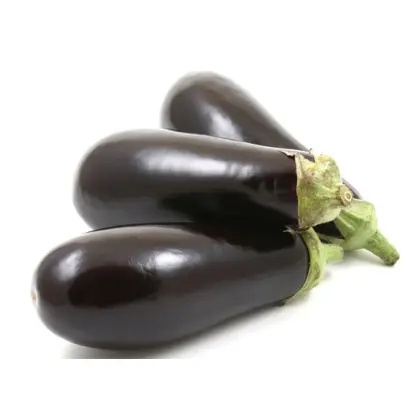 СИБИРСКИЙ АРГУМЕНТ