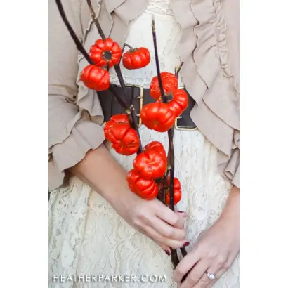 КРАСНЫЙ ДЕКОР