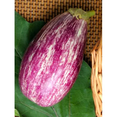 ПОЛОСАТЫЙ РЕЙС