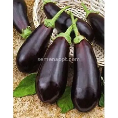 МЕДВЕЖОНОК