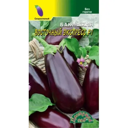 ВОСТОЧНЫЙ ЭКСПРЕСС