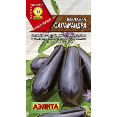 САЛАМАНДРА