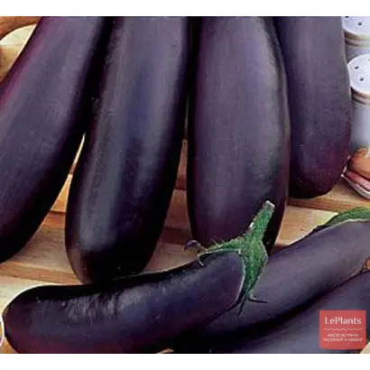 НИЖНЕВОЛЖСКИЙ