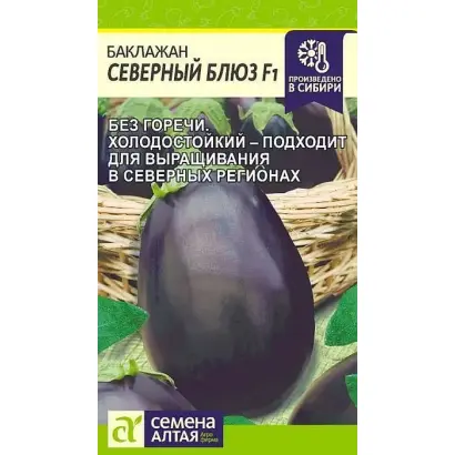 СЕВЕРНЫЙ БЛЮЗ