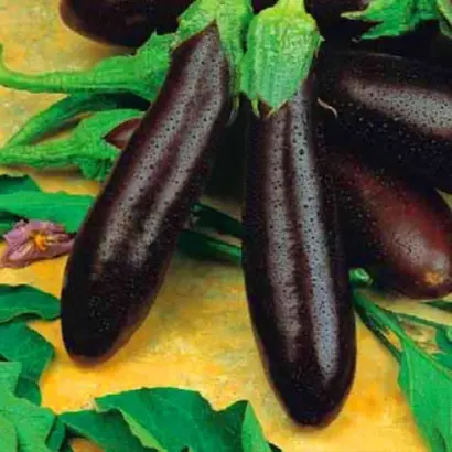 АЛЕКСЕЕВСКИЙ