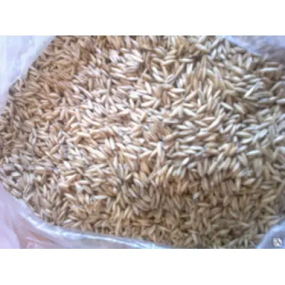 ТЮМЕНСКИЙ ГОЛОЗЕРНЫЙ