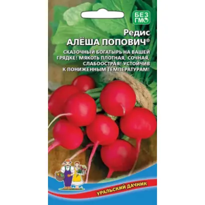 АЛЁША ПОПОВИЧ