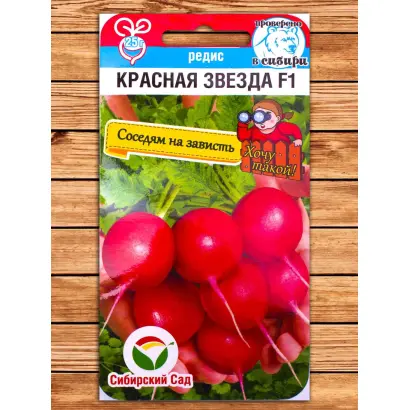 КРАСНАЯ ЗВЕЗДА