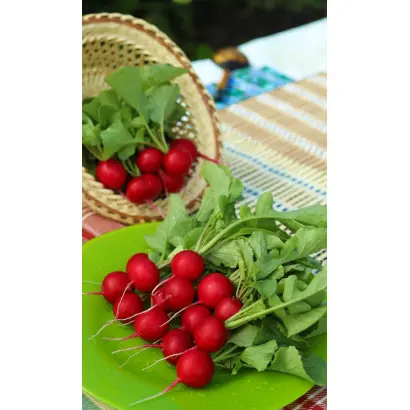 МЛАДШИЙ ЛЕЙТЕНАНТ