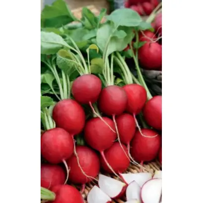 БИЗНЕС-КЛАСС