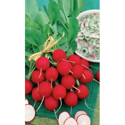 ЛЕТНЯЯ ОКРОШКА